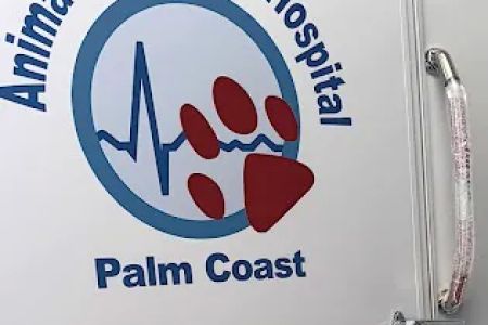 Animal Emergency Hospital Palm Coast