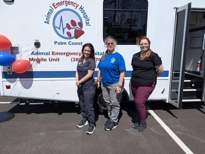 Animal Emergency Hospital Palm Coast 5