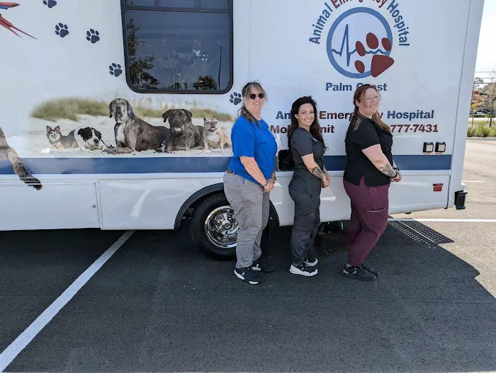 Animal Emergency Hospital Palm Coast 4