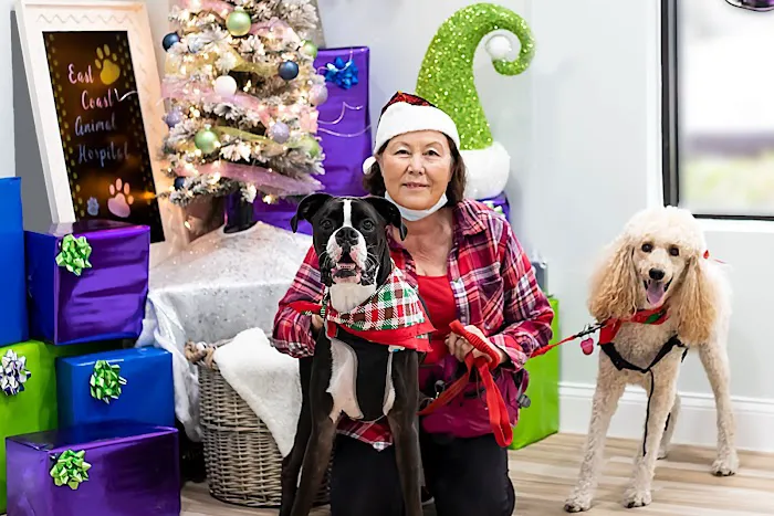 East Coast Animal Hospital 12