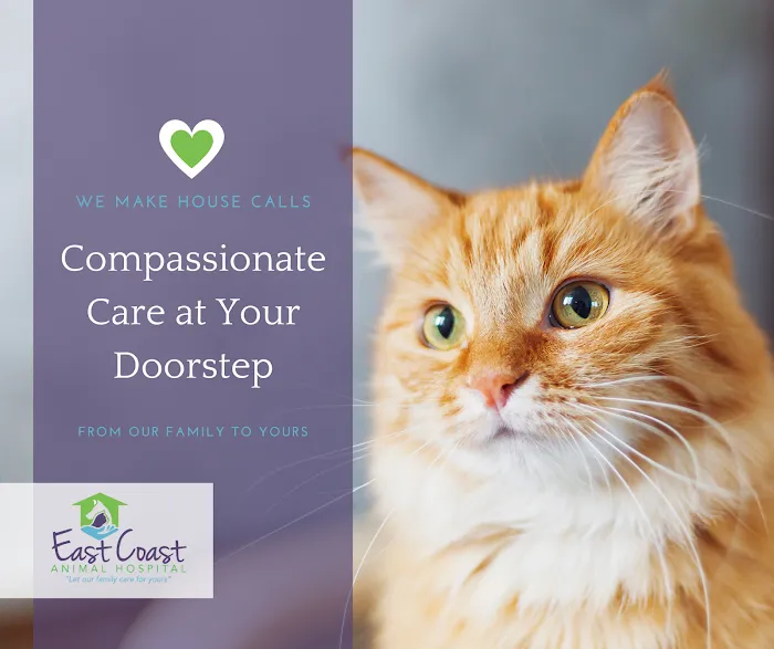 East Coast Animal Hospital 12
