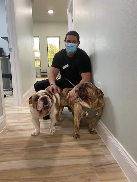 East Coast Animal Hospital 12
