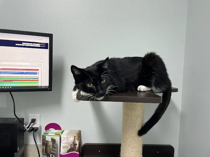 East Coast Animal Hospital 12