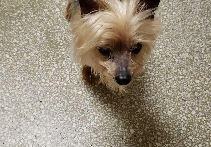 Companion Animal Hospital of North Florida 2