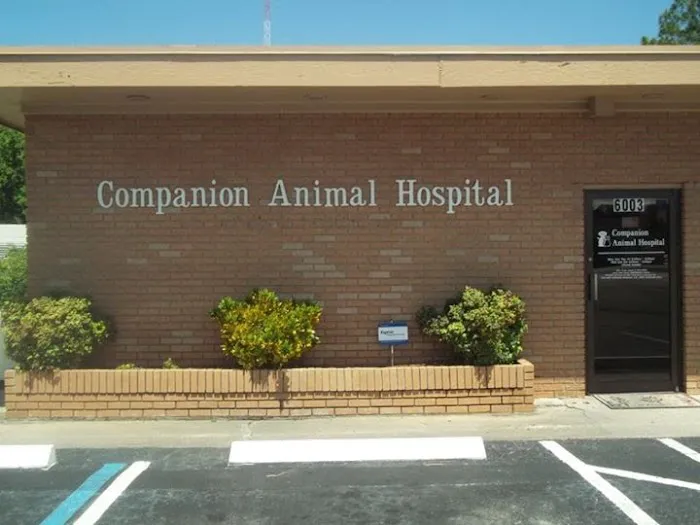 Companion Animal Hospital of North Florida 4