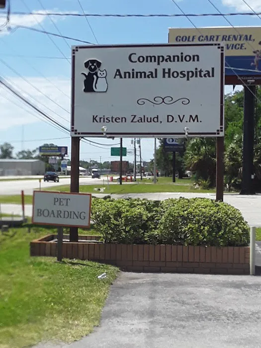 Companion Animal Hospital of North Florida 5
