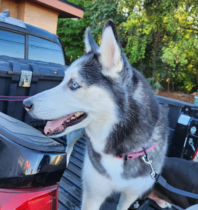 Companion Animal Hospital of North Florida 10