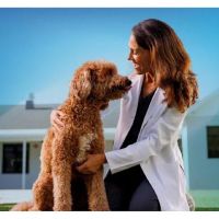 NewDay Veterinary Care ico