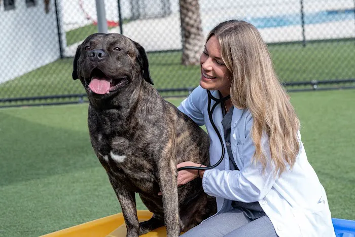 NewDay Veterinary Care 12