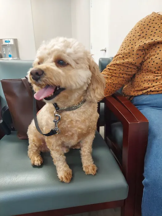 Sandy Paws Animal Hospital 12