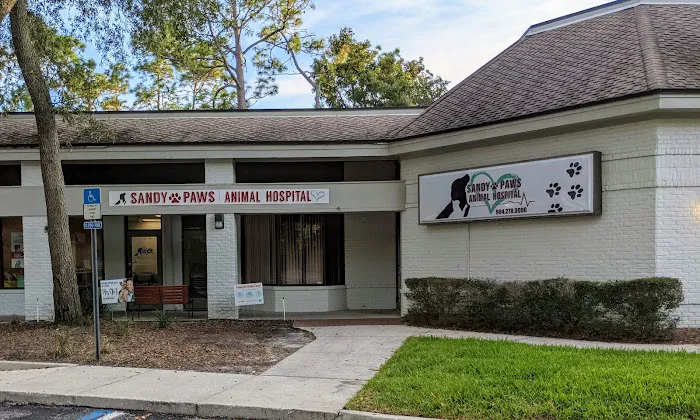 Sandy Paws Animal Hospital 12