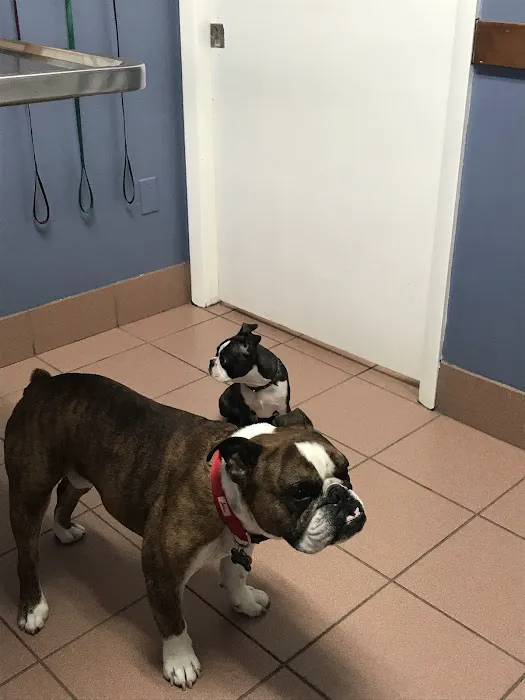 Sandy Paws Animal Hospital 12