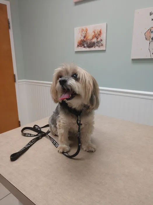 Animal Eye Clinic 12