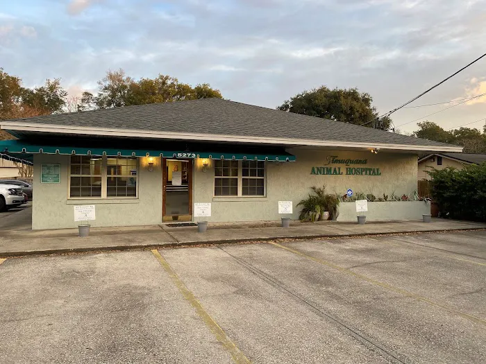 Timuquana Animal Hospital 12