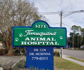 Timuquana Animal Hospital