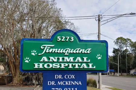 Timuquana Animal Hospital
