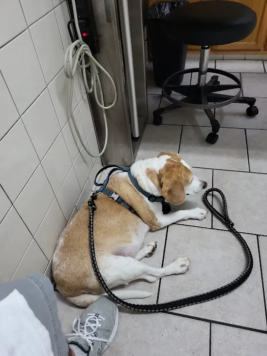 Normandy Animal Hospital 4