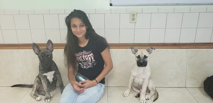 Normandy Animal Hospital 10