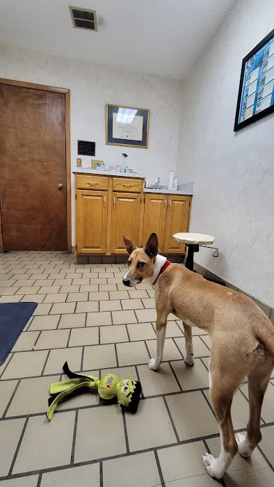 Timuquana Animal Hospital: Cox, Walker, Puckett DVM 12