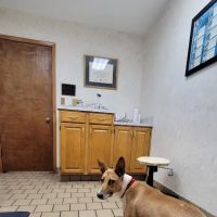 Timuquana Animal Hospital: Cox, Walker, Puckett DVM ico