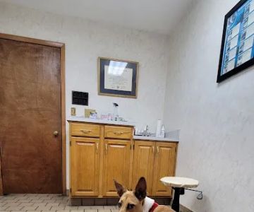Timuquana Animal Hospital: Cox, Walker, Puckett DVM