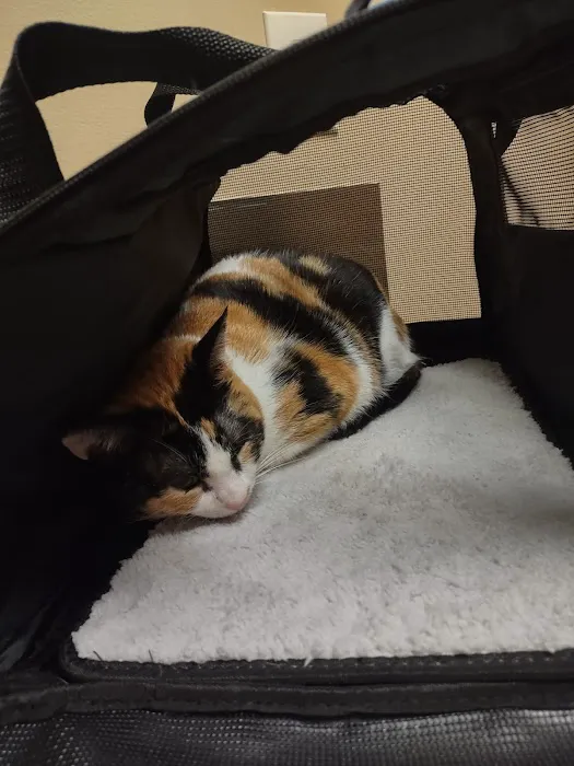 Cedar Hills Animal Hospital 12