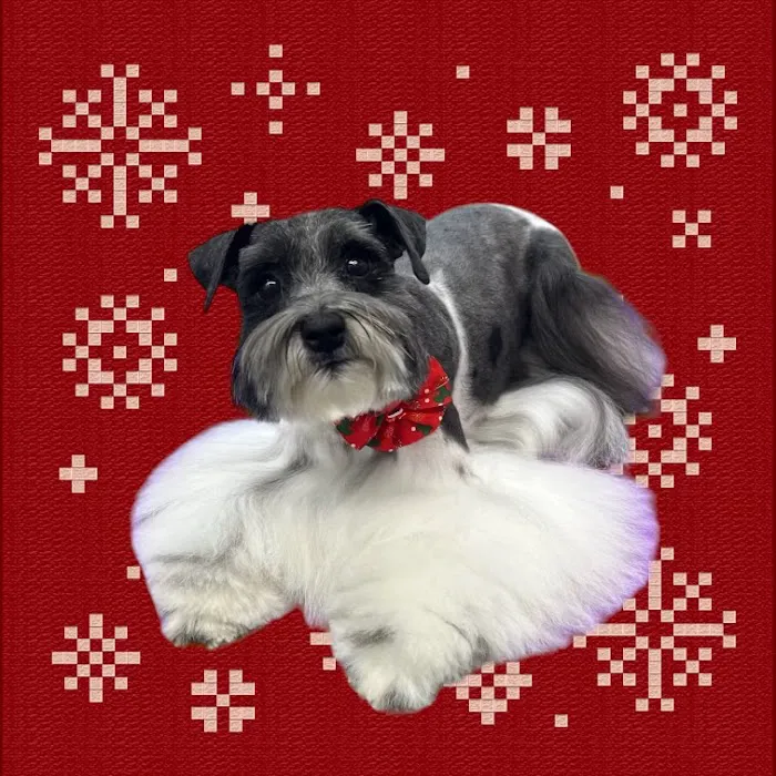 Cedar Hills Animal Hospital 12