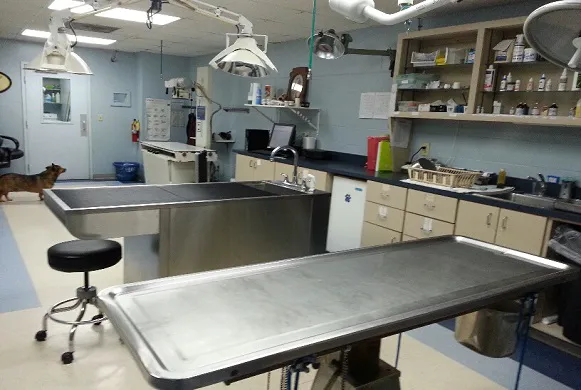 San Juan Animal Hospital 1