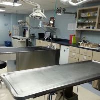 San Juan Animal Hospital ico