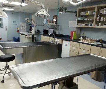 San Juan Animal Hospital