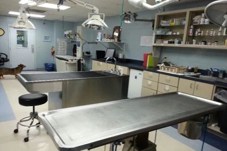 San Juan Animal Hospital