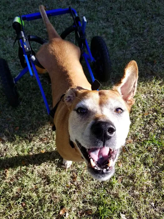 San Juan Animal Hospital 12
