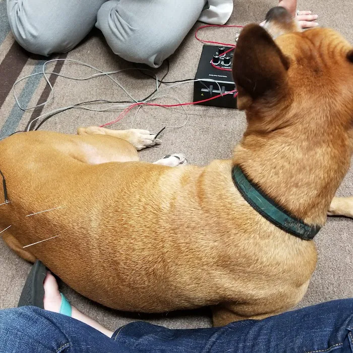 San Juan Animal Hospital 12