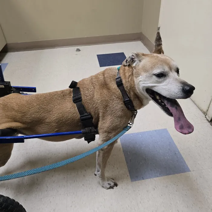 San Juan Animal Hospital 12