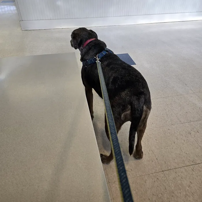 San Juan Animal Hospital 12
