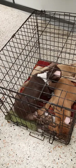 South Lane Animal Hospital 5