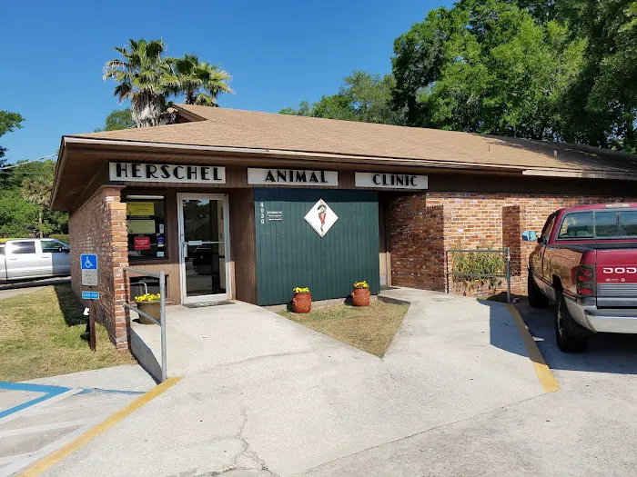 River City Veterinary Hospital 6