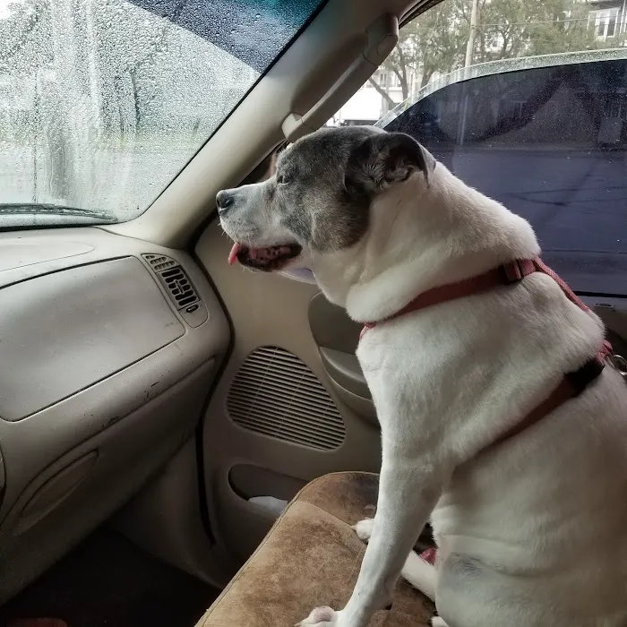 River City Veterinary Hospital 5