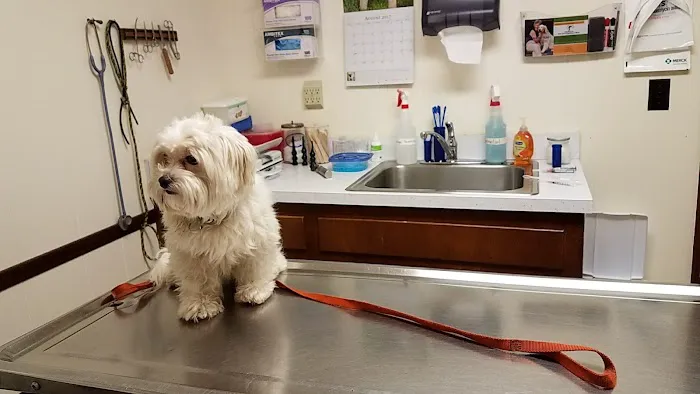 River City Veterinary Hospital 4