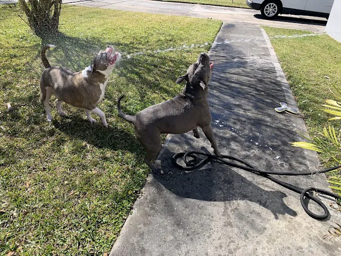 Jacksonville Community Pet Clinic - West 2
