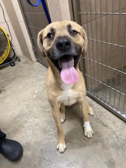 Marietta Animal Hospital 12