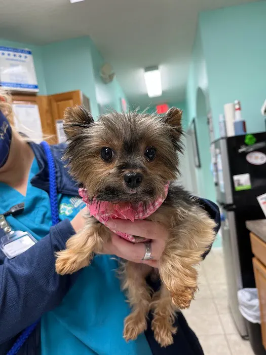 Marietta Animal Hospital 12