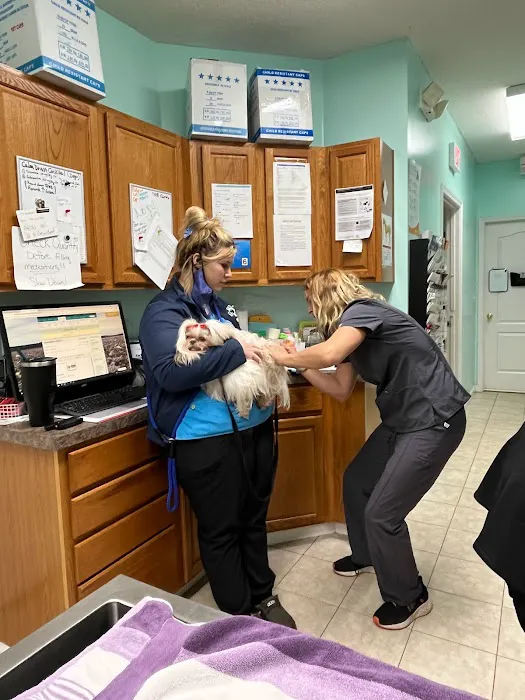 Marietta Animal Hospital 12