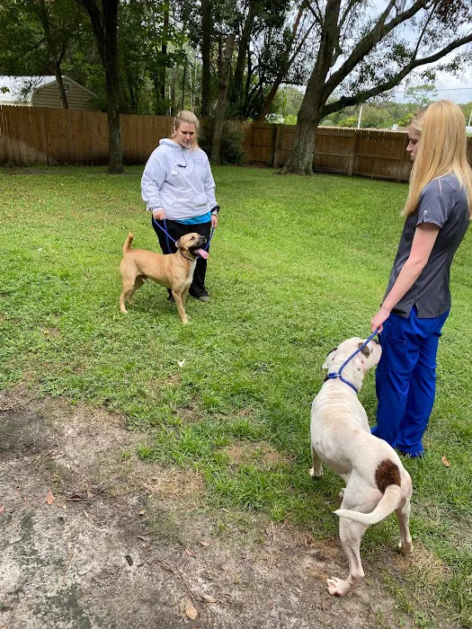 Marietta Animal Hospital 12