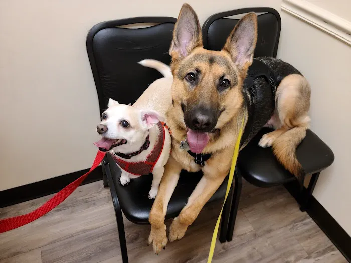 Whitehouse Animal Hospital 1