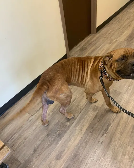 Whitehouse Animal Hospital 10