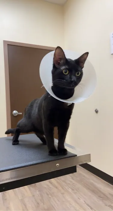 Whitehouse Animal Hospital 7