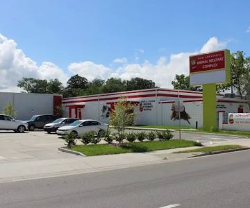 First Coast No More Homeless Pets