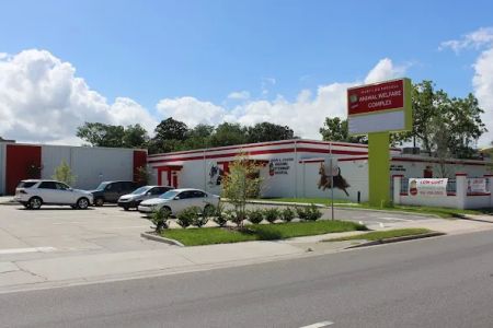 First Coast No More Homeless Pets