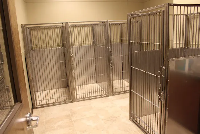 First Coast No More Homeless Pets 12